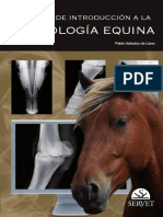 Manual de Introducción A La Radiología Equina PDF