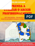Livro aprenda a utilizar o ArcGIS profissionalmente.pdf