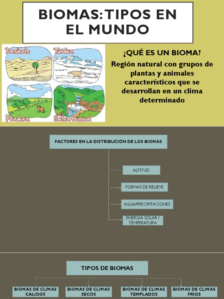 Tipos de Biomas en el Mundo | PDF | Clima | Biogeografia