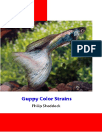 Guppy_Color_Strains.pdf