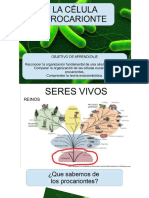 Biología Octavo