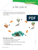 What Is The Life Cycle of A Plant?