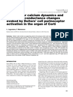 2001 Intracellular Calcium Dynamics