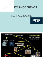 Echinodermata