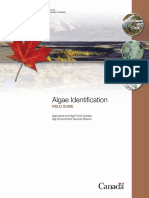 Algae Identifcation.pdf