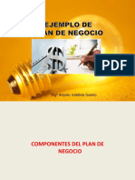 Elaboracion Del Plan de Negocios II