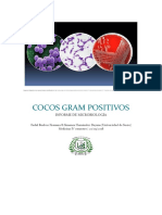 Cocos gram positivos lab