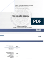 Promocion Social PDF