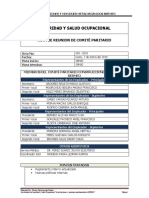 Acta Comite Paritario Enero 2019