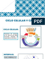 Ciclo Celular y Cáncer