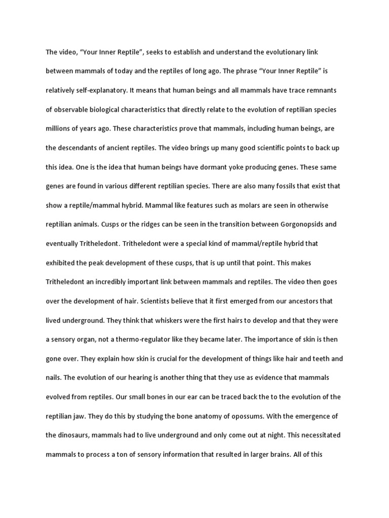 Your Inner Reptile Essay PDF