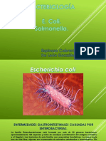 Enfermedades gastrointestinales causadas por enterobacterias