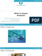 What Is Cluster Analysis?: Dmitriy (Dima) Gorenshteyn