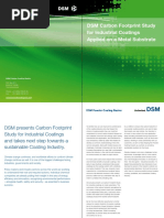 DSM Carbon Footprint Study