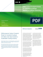DSM Carbon Footprint Study