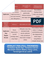 Tugas Derajat Luka Bakar