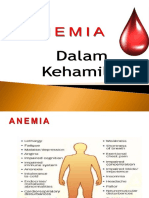 Anemia Defisiensi Besi Dalam Kehamilan