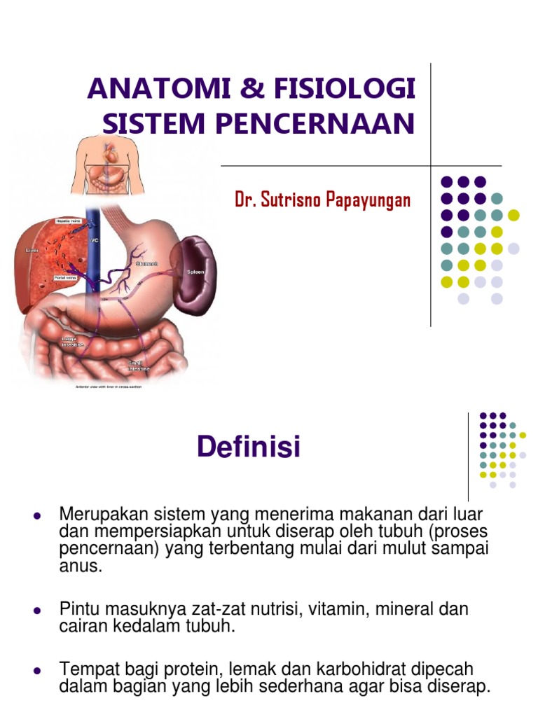 Anatomi Fisiologi Sistem  Pencernaan  Stikes ppt