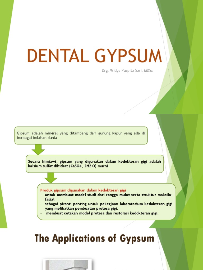 Dental Gypsum PDF
