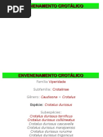 Envenenamento Crotálico (Medicina Veterinária)