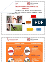 Caracteristicas Organolepticas de Los Alimentos