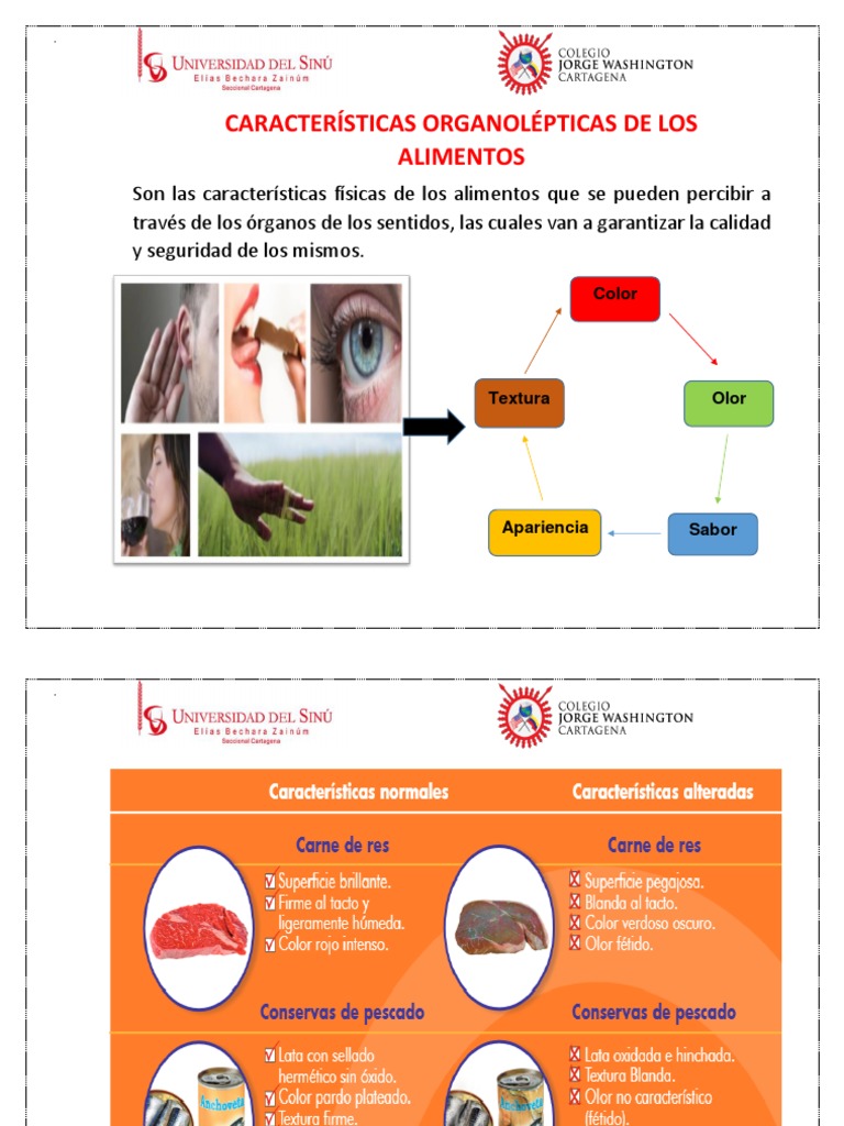 Caracteristicas Organolepticas de Los Alimentos PDF