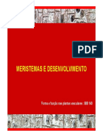 Meristemas e Desenvolvimento