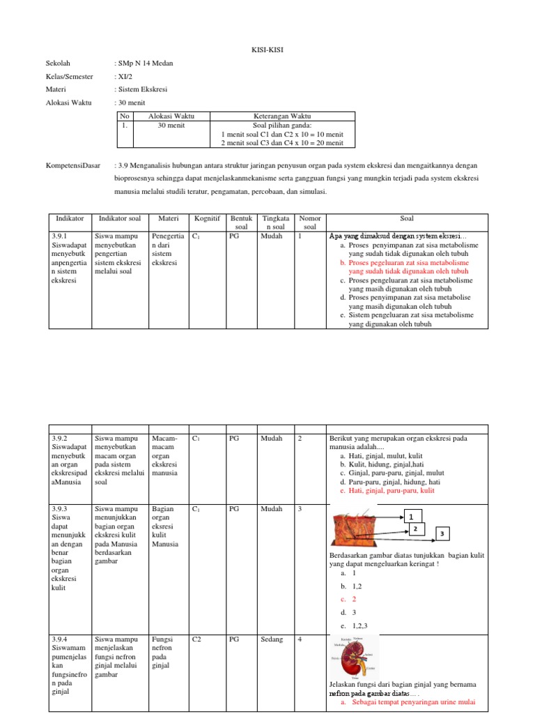 Kisi Kisi Soal C1 C6 Sistem Ekskresi Perseveranda Onjom