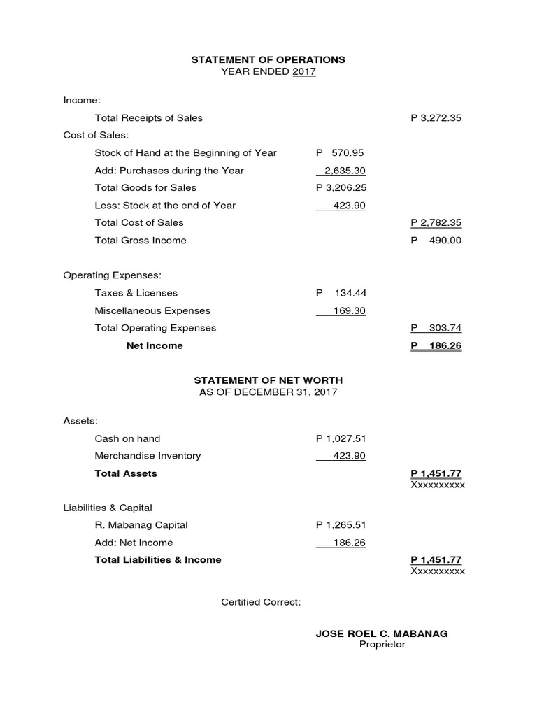 Sari Sari Store 2017 Income Statement | PDF
