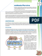 CoccidiosisPorcina.pdf