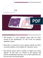 Thymus & Spleen Histology & Anatomy