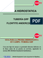 Prueba Hidrostatica Plus