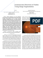 Automated Microaneurysms Detection in Fundus Images Using Image Segmentation