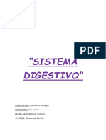 Sistema Digestivo