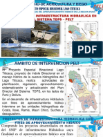 237221768-Ponencia-Una-Puno-Pelt.pdf