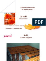 3__Diversification_Fruits_Plus_KAKI_SudExpe_6_nov_18.pdf