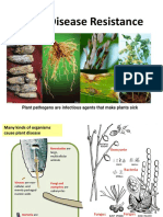 Plant Disease Resistance