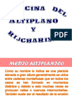 Medicina Del Altiplano