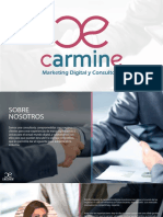 Brochure Carmine PDF