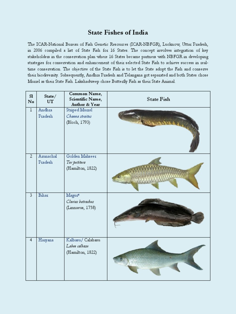 State Fishes of India | PDF | Fish | Aquatic Vertebrates