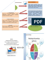 Bifoliar Metodología