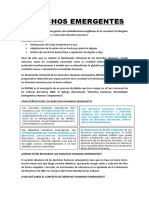 Derechos humanos emergentes: reivindicaciones y características