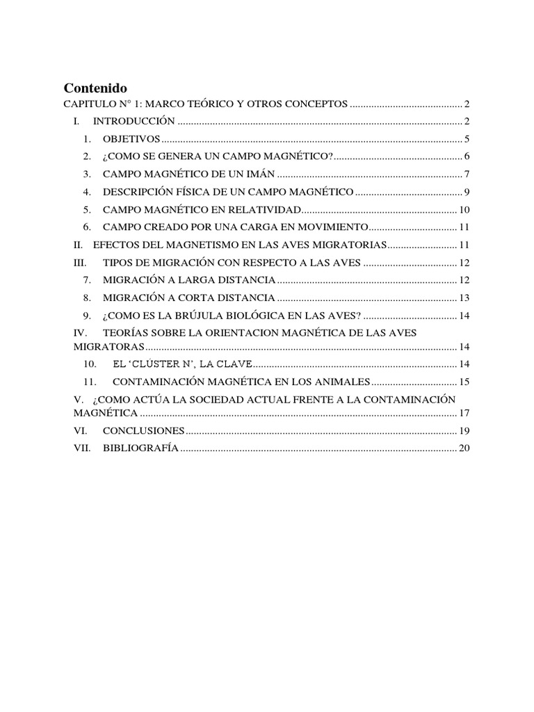 El Campo Magnético y Su Relación Con Las Aves PDF Campo magnético