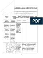 Matriz Metodológica ANA LOPES