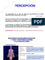 La percepción: procesos sensoriales, experiencias y significados