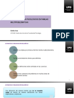V4_7-PAP-familias-multiproblematicas.pdf