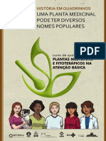 Identificando plantas medicinais por seus nomes populares