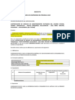 PROCESO N° MACHIN -ANEXO N°6 (1)