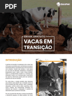 E-book - Vacas Em Transicao