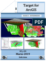 Targes Arcgis